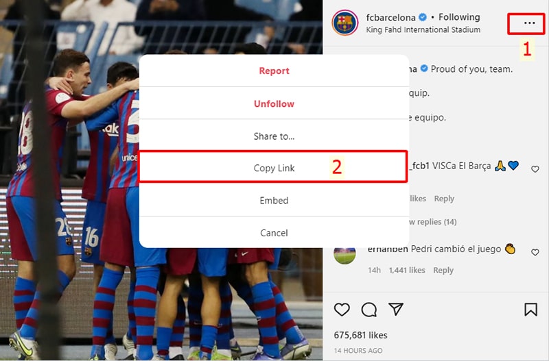 Copy Instagram link